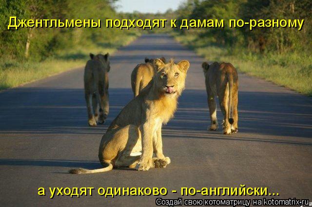 Джентльмены подходят к дамам по-разному а уходят одинаково - по-английски...... Котоматрица: Джентльмены подходят к дамам по-разному а уходят одинаково - по-английски...