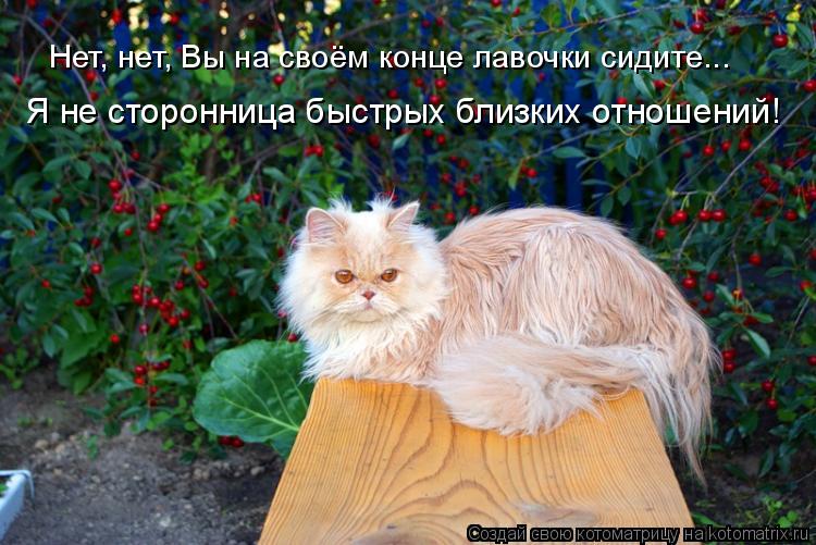 Нет, нет, Вы на своём конце лавочки сидите... Я не сторонница быстрых близких отношений!... Котоматрица: Нет, нет, Вы на своём конце лавочки сидите... Я не сторонница быстрых близких отношений!