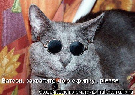 Ватсон, захватите мою скрипку , please... Котоматрица: Ватсон, захватите мою скрипку , please
