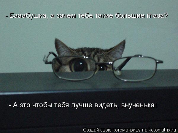 Котоматрица: - Бааабушка, а зачем тебе такие большие глаза? - А это чтобы тебя лучше видеть, внученька!