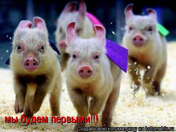 мы будем первыми!!!... Котоматрица: мы будем первыми!!!