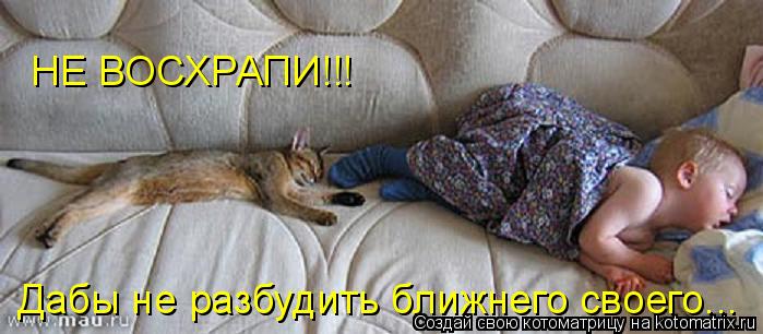 НЕ ВОСХРАПИ!!! Дабы не разбудить ближнего своего...... Котоматрица: НЕ ВОСХРАПИ!!! Дабы не разбудить ближнего своего...