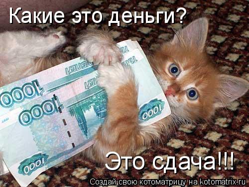 Какие это деньги? Это сдача!!!... Котоматрица: Какие это деньги? Это сдача!!!