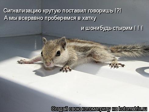 А мы всеравно проберемся в хатку и шонибудь стырим ! ! ! Сигнализацию крутую поставил говоришь !?!... Котоматрица: А мы всеравно проберемся в хатку и шонибудь стырим ! ! ! Сигнализацию крутую поставил говоришь !?!