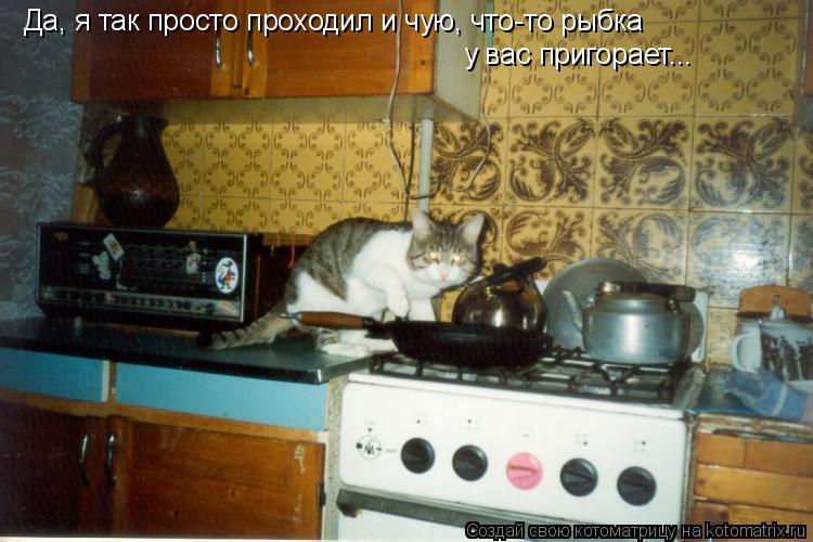Да, я так просто проходил и чую, что-то рыбка у вас пригорает...... Котоматрица: Да, я так просто проходил и чую, что-то рыбка у вас пригорает...