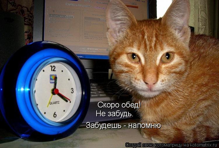 Котоматрица: Скоро обед! Не забудь. Забудешь - напомню