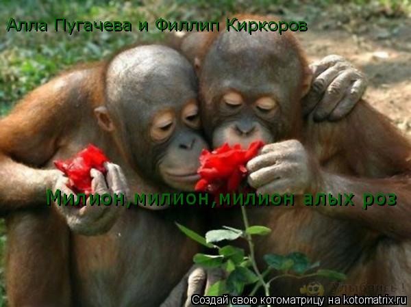 Алла Пугачева и Филлип Киркоров Милион,милион,милион алых роз... Котоматрица: Алла Пугачева и Филлип Киркоров Милион,милион,милион алых роз