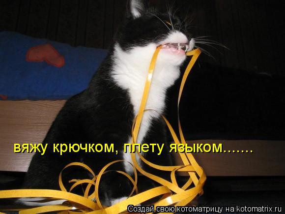 вяжу крючком, плету языком.......... Котоматрица: вяжу крючком, плету языком.......