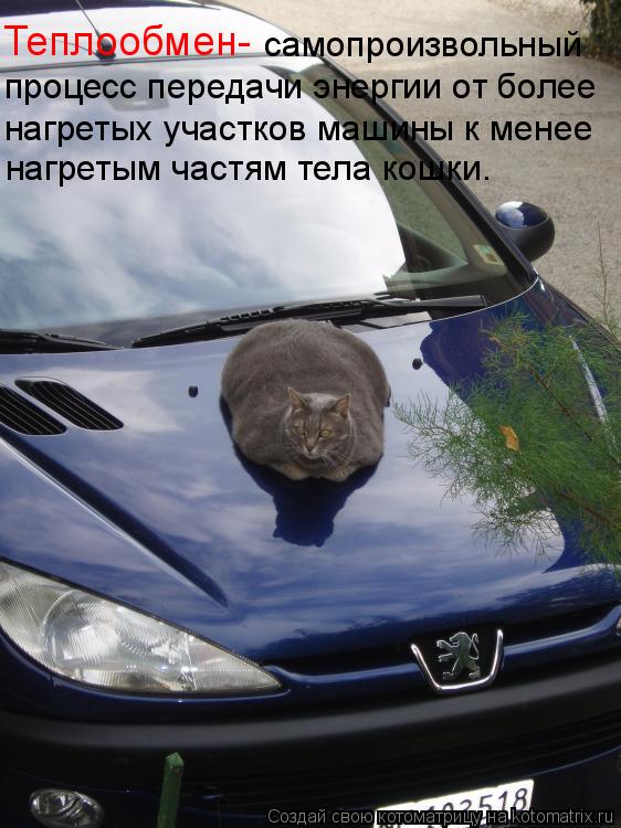 Теплообмен- самопроизвольный процесс передачи энергии от более нагретых участков машины к менее на... Котоматрица: Теплообмен- самопроизвольный процесс передачи энергии от более нагретых участков машины к менее нагретым частям тела кошки.