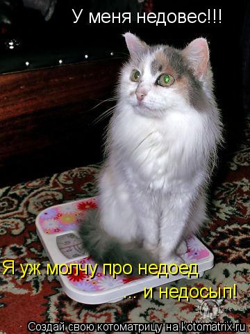 У меня недовес!!! Я уж молчу про недоед ... и недосып!... Котоматрица: У меня недовес!!! Я уж молчу про недоед ... и недосып!