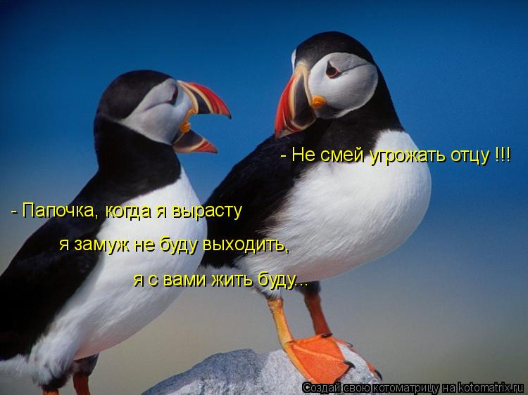 - Папочка, когда я вырасту я замуж не буду выходить, я с вами жить буду... - Не смей угрожать отцу !!... Котоматрица: - Папочка, когда я вырасту я замуж не буду выходить, я с вами жить буду... - Не смей угрожать отцу !!!