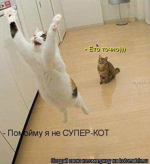 - Помойму я не СУПЕР-КОТ - Ето точно)))... Котоматрица: - Помойму я не СУПЕР-КОТ - Ето точно)))