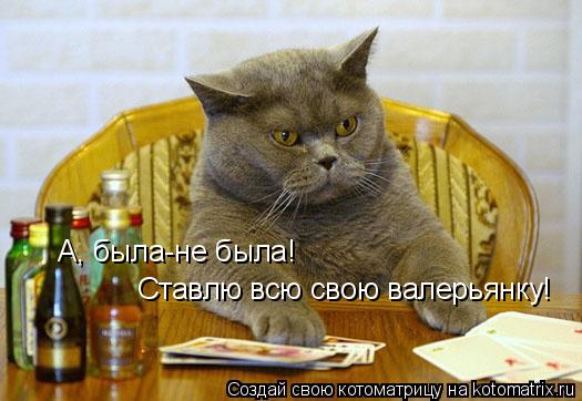 Ставлю всю свою валерьянку! А, была-не была!... Котоматрица: Ставлю всю свою валерьянку! А, была-не была!