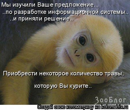 Мы изучили Ваше предложение... ..по разработке информационной системы.. ..и приняли решение.. Приобре... Котоматрица: Мы изучили Ваше предложение... ..по разработке информационной системы.. ..и приняли решение.. Приобрести некоторое количество травы, которую