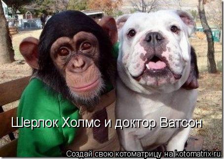 Шерлок Холмс и доктор Ватсон... Котоматрица: Шерлок Холмс и доктор Ватсон