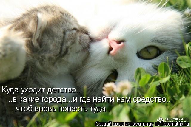 Куда уходит детство.. ..в какие города...и где найти нам средство.. ..чтоб вновь попасть туда..... Котоматрица: Куда уходит детство.. ..в какие города...и где найти нам средство.. ..чтоб вновь попасть туда..