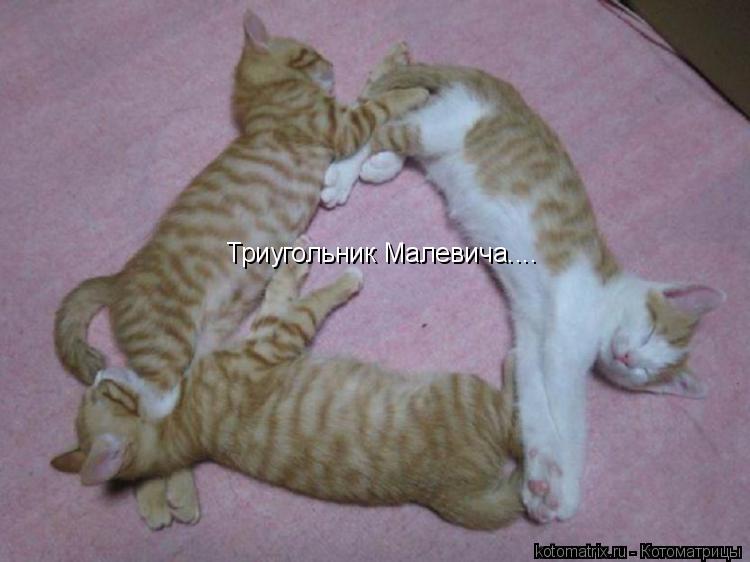 Триугольник Малевича....... Котоматрица: Триугольник Малевича....
