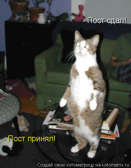 - Пост сдал! - Пост принял!... Котоматрица: - Пост сдал! - Пост принял!