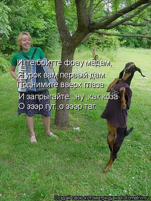 Итте,бритте фрау мадам, Я урок вам первый дам. И запрыгайте..,ну ,как коза О зээр гут.,о зээр таг.. П... Котоматрица: Итте,бритте фрау мадам, Я урок вам первый дам. И запрыгайте..,ну ,как коза О зээр гут.,о зээр таг.. Поднимите вверх глаза