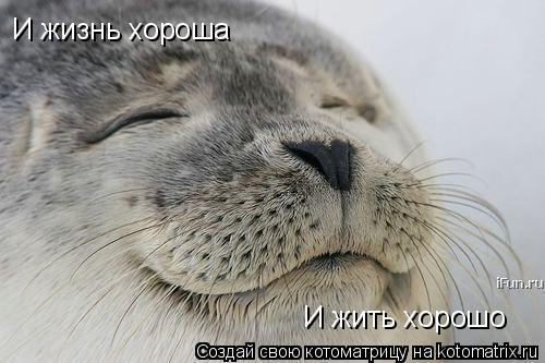 И жизнь хороша И жить хорошо... Котоматрица: И жизнь хороша И жить хорошо