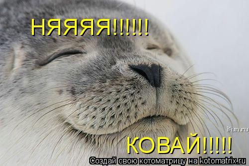 НЯЯЯЯ!!!!!! КОВАЙ!!!!!... Котоматрица: НЯЯЯЯ!!!!!! КОВАЙ!!!!!