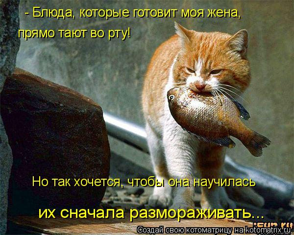 - Блюда, которые готовит моя жена, прямо тают во рту! Но так хочется, чтобы она научилась их сначала ... Котоматрица: - Блюда, которые готовит моя жена, прямо тают во рту! Но так хочется, чтобы она научилась их сначала размораживать...