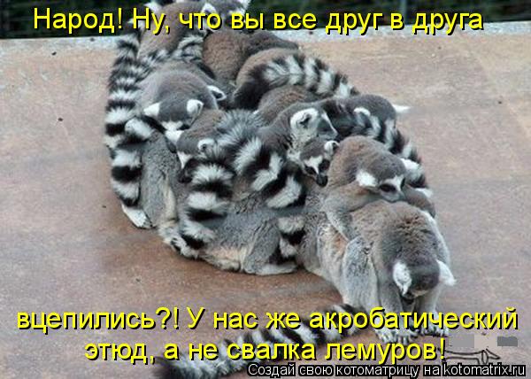 Народ! Ну, что вы все друг в друга вцепились?! У нас же акробатический этюд, а не свалка лемуров!... Котоматрица: Народ! Ну, что вы все друг в друга вцепились?! У нас же акробатический этюд, а не свалка лемуров!