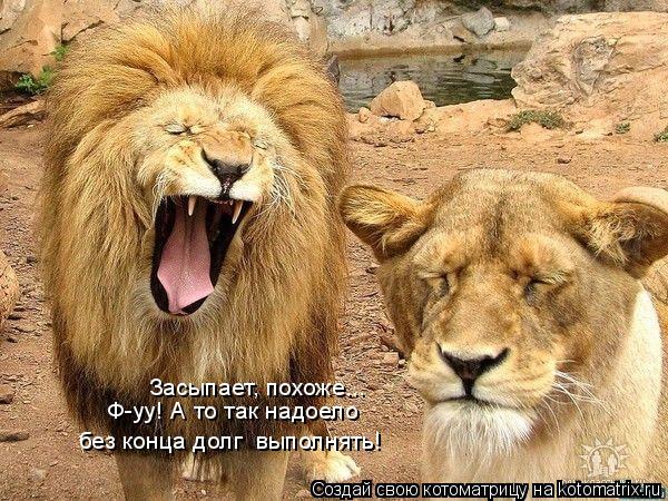 Засыпает, похоже... Ф-уу! А то так надоело без конца долг выполнять!... Котоматрица: Засыпает, похоже... Ф-уу! А то так надоело без конца долг выполнять!
