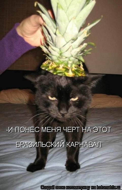 БРАЗИЛЬСКИЙ КАРНАВАЛ -И ПОНЕС МЕНЯ ЧЕРТ НА ЭТОТ... Котоматрица: БРАЗИЛЬСКИЙ КАРНАВАЛ -И ПОНЕС МЕНЯ ЧЕРТ НА ЭТОТ