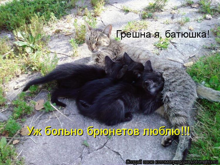 Грешна я, батюшка! Уж больно брюнетов люблю!!!... Котоматрица: Грешна я, батюшка! Уж больно брюнетов люблю!!!