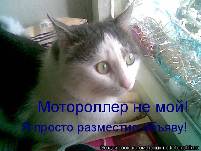 Мотороллер не мой! Я просто разместил объяву!... Котоматрица: Мотороллер не мой! Я просто разместил объяву!