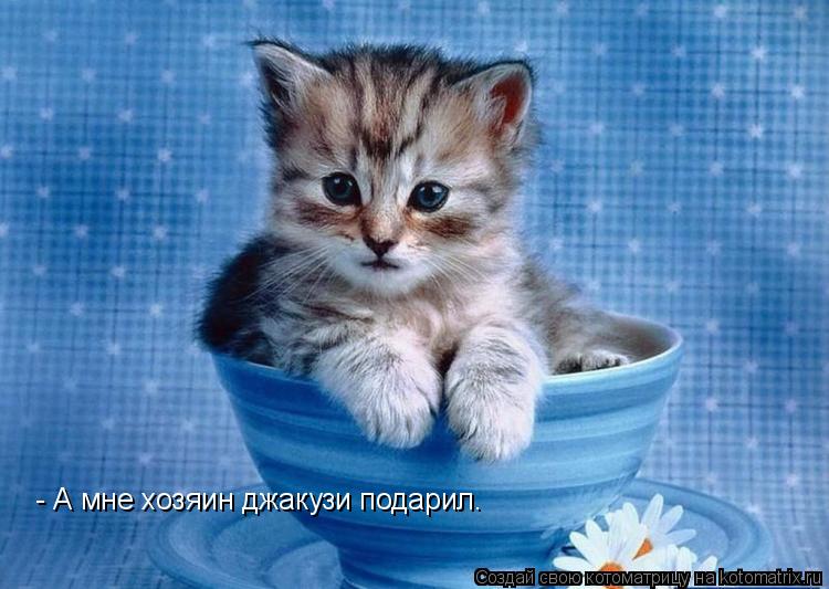 - А мне хозяин джакузи подарил.... Котоматрица: - А мне хозяин джакузи подарил.