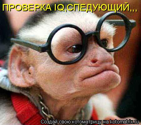 ПРОВЕРКА IQ,СПЕДУЮЩИЙ,,,... Котоматрица: ПРОВЕРКА IQ,СПЕДУЮЩИЙ,,,
