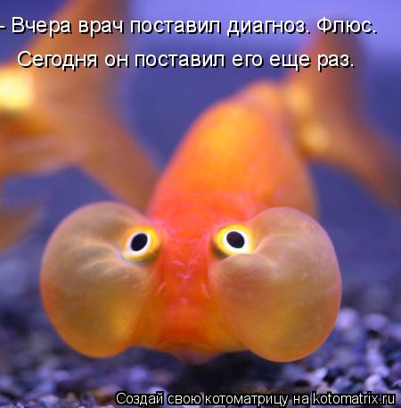 - Вчера врач поставил диагноз. Флюс. Сегодня он поставил его еще раз.... Котоматрица: - Вчера врач поставил диагноз. Флюс. Сегодня он поставил его еще раз.