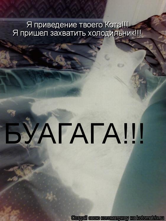 Я приведение твоего Кота!!! Я пришел захватить холодильник!!! БУАГАГА!!!... Котоматрица: Я приведение твоего Кота!!! Я пришел захватить холодильник!!! БУАГАГА!!!