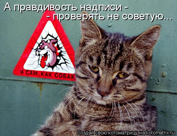 А правдивость надписи - - проверять не советую...... Котоматрица: А правдивость надписи - - проверять не советую...