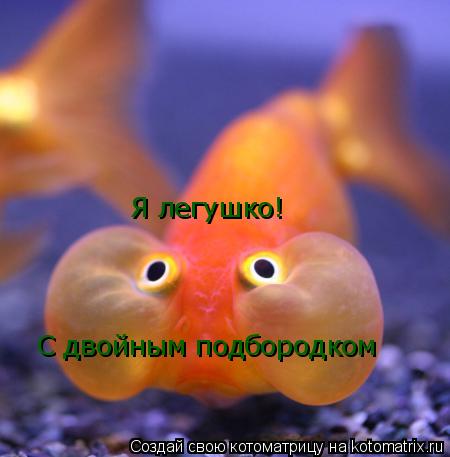 Я легушко! С двойным подбородком... Котоматрица: Я легушко! С двойным подбородком