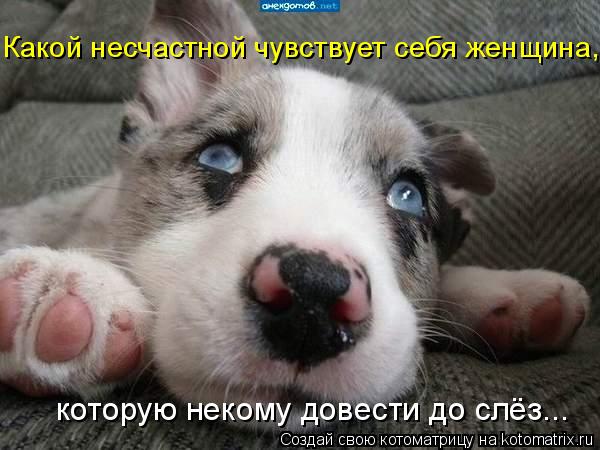 которую некому довести до слёз... Какой несчастной чувствует себя женщина,... Котоматрица: которую некому довести до слёз... Какой несчастной чувствует себя женщина,