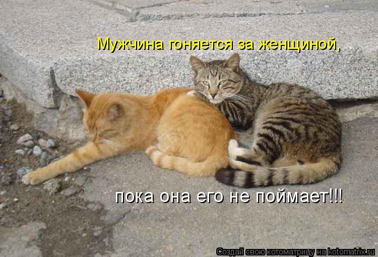 Мужчина гоняется за женщиной, пока она его не поймает!!!... Котоматрица: Мужчина гоняется за женщиной, пока она его не поймает!!!