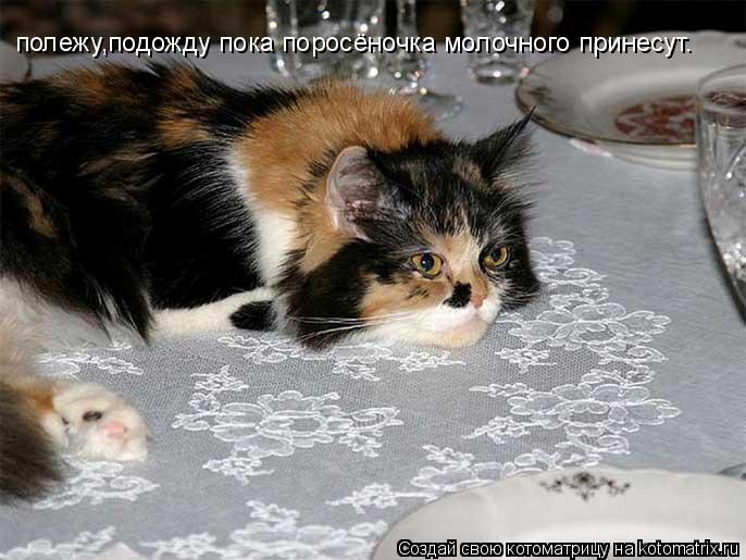 полежу,подожду пока поросёночка молочного принесут.... Котоматрица: полежу,подожду пока поросёночка молочного принесут.
