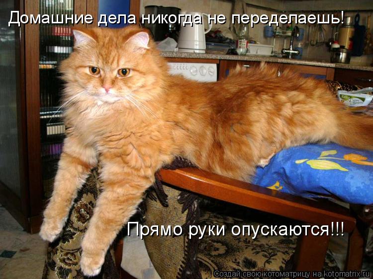 Прямо руки опускаются!!! Домашние дела никогда не переделаешь!... Котоматрица: Прямо руки опускаются!!! Домашние дела никогда не переделаешь!