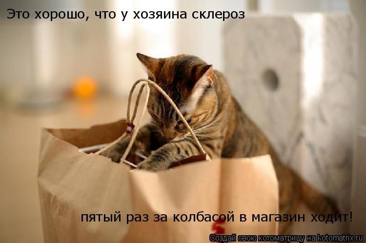 Это хорошо, что у хозяина склероз пятый раз за колбасой в магазин ходит!... Котоматрица: Это хорошо, что у хозяина склероз пятый раз за колбасой в магазин ходит!
