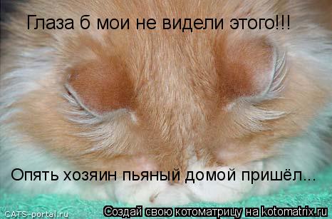 Глаза б мои не видели этого!!! Опять хозяин пьяный домой пришёл...... Котоматрица: Глаза б мои не видели этого!!! Опять хозяин пьяный домой пришёл...