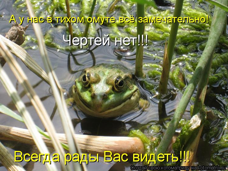А у нас в тихом омуте всё замечательно! Чертей нет!!! Всегда рады Вас видеть!!!... Котоматрица: А у нас в тихом омуте всё замечательно! Чертей нет!!! Всегда рады Вас видеть!!!