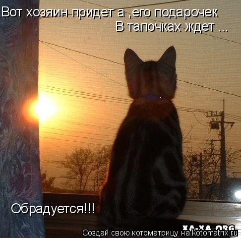 Вот хозяин придет а ,его подарочек В тапочках ждет ... Обрадуется!!!... Котоматрица: Вот хозяин придет а ,его подарочек В тапочках ждет ... Обрадуется!!!
