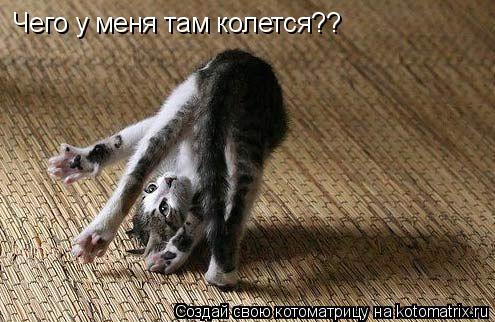 Чего у меня там колется??... Котоматрица: Чего у меня там колется??