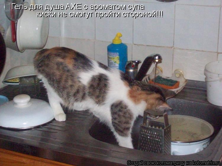 Гель для душа AXE с ароматом супа киски не смогут пройти стороной!!!... Котоматрица: Гель для душа AXE с ароматом супа киски не смогут пройти стороной!!!