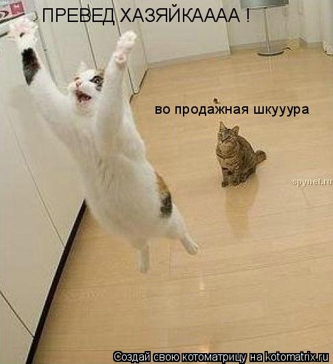 ПРЕВЕД ХАЗЯЙКАААА ! во продажная шкууура... Котоматрица: ПРЕВЕД ХАЗЯЙКАААА ! во продажная шкууура