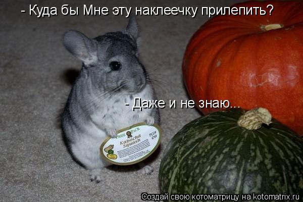 - Даже и не знаю... - Куда бы Мне эту наклеечку прилепить?... Котоматрица: - Даже и не знаю... - Куда бы Мне эту наклеечку прилепить?