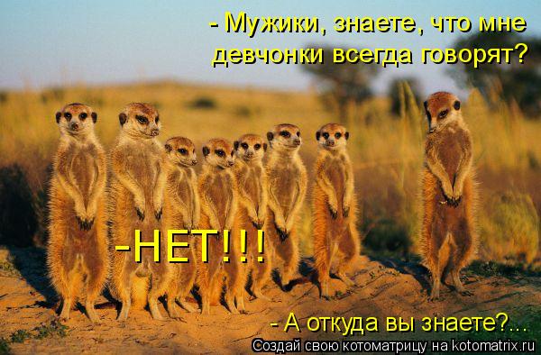 - Мужики, знаете, что мне девчонки всегда говорят? -НЕТ!!! - А откуда вы знаете?...... Котоматрица: - Мужики, знаете, что мне девчонки всегда говорят? -НЕТ!!! - А откуда вы знаете?...